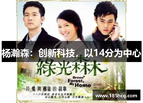 杨瀚森：创新科技，以14分为中心